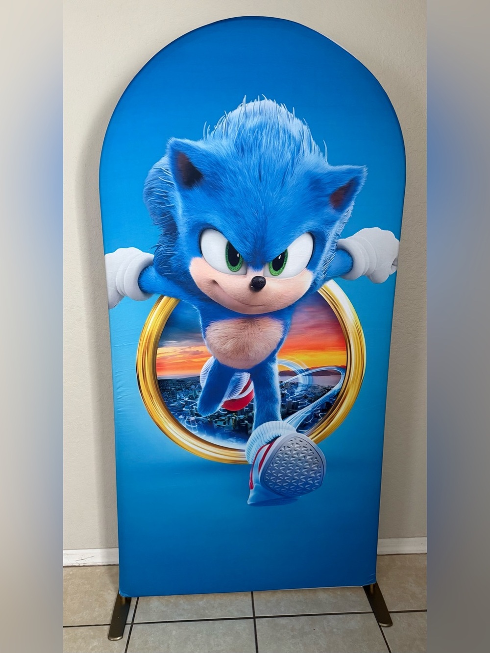 Sonic The Hedgehog Arch Backdrop Cover